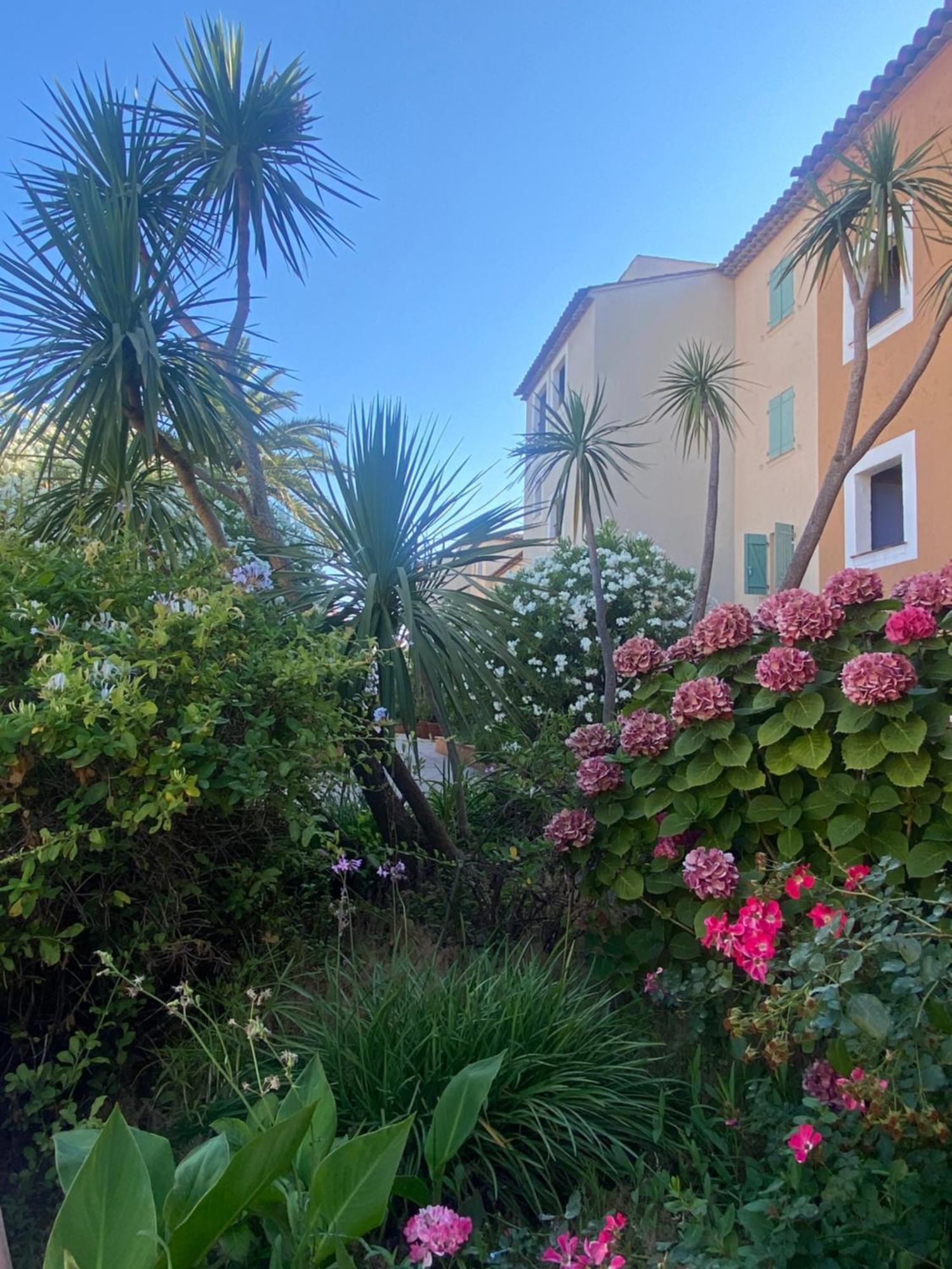 2 Bedrooms, 15 Min Walk To Beach, Ac, Pool & Fiber Internet In A Quiet, Private Gated Domain 5Kms To St Tropez Cogolin Εξωτερικό φωτογραφία