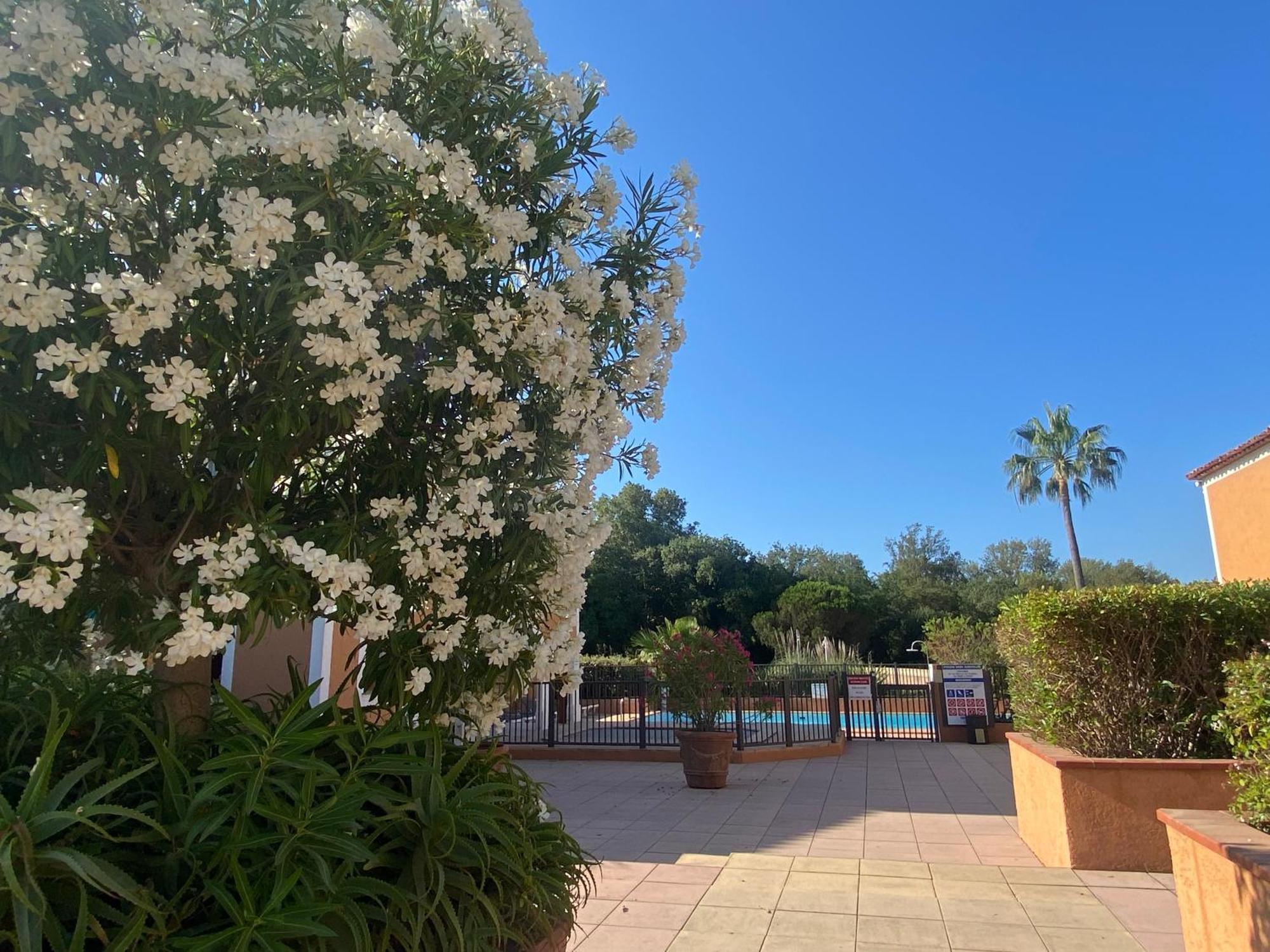 2 Bedrooms, 15 Min Walk To Beach, Ac, Pool & Fiber Internet In A Quiet, Private Gated Domain 5Kms To St Tropez Cogolin Εξωτερικό φωτογραφία